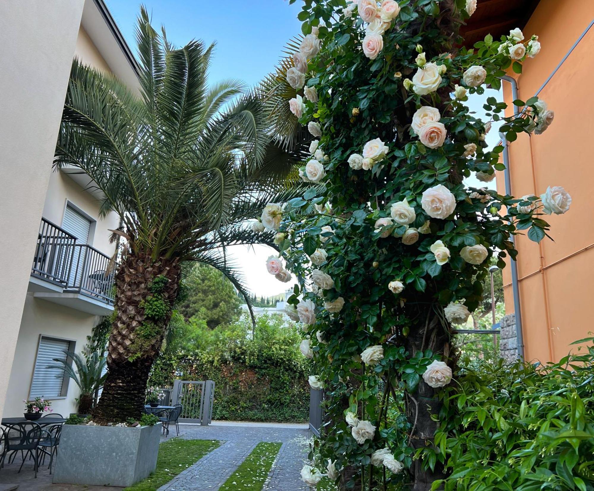 Villa Phoenix - Lake Apartments Рива-дель-Гарда Экстерьер фото